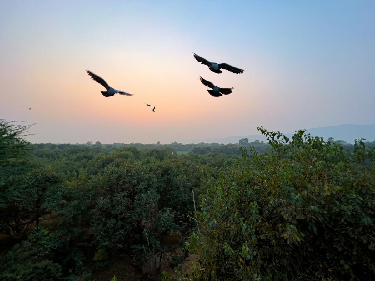 Joy Bagh Resort Pushkar Exterior photo